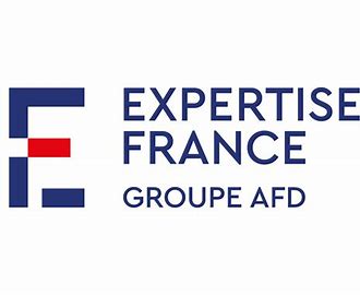 logo expertise france